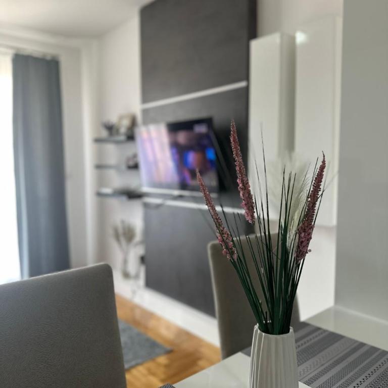 Apartments Nova Otoka Sarajevo 2 - Apartman sa 1 Spavaćom Sobom - 5