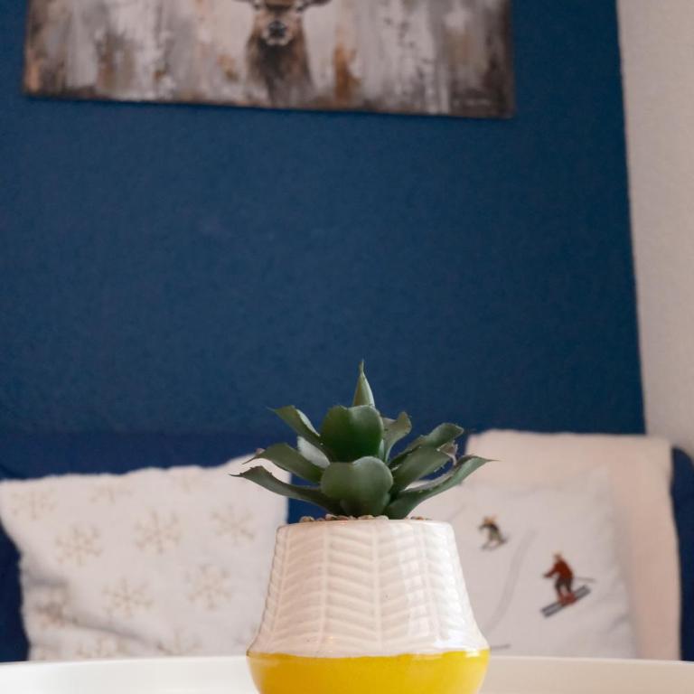 Studio Plane Sud - Appartement 1 Chambre - 6