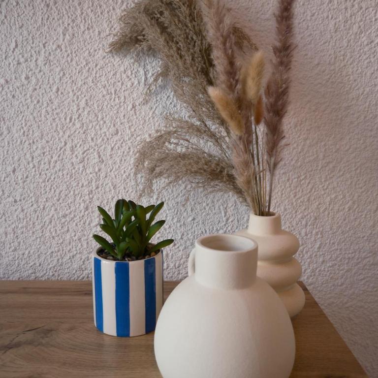 Studio Plane Sud - Appartement 1 Chambre - 7