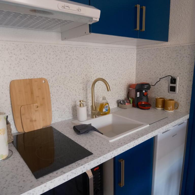 Studio Plane Sud - Appartement 1 Chambre - 10