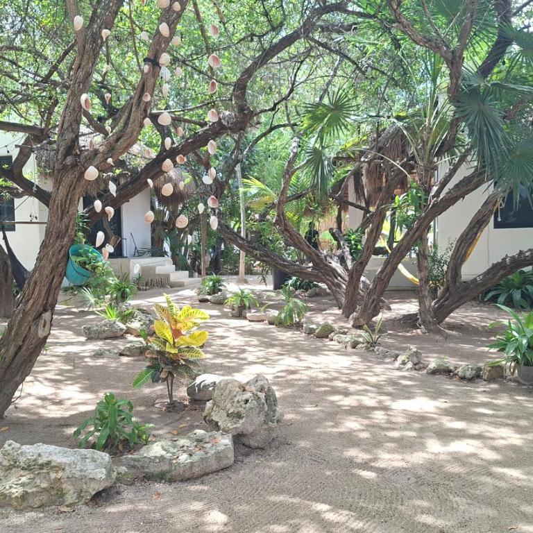 Valentina Holbox by Las Flores Vacation Rentals - Familienzimmer mit Terrasse - 6