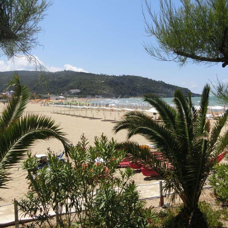 BLUS MARINE HOME a 10mt dalla SPIAGGIA - Casa con 1 Camera da Letto - 24