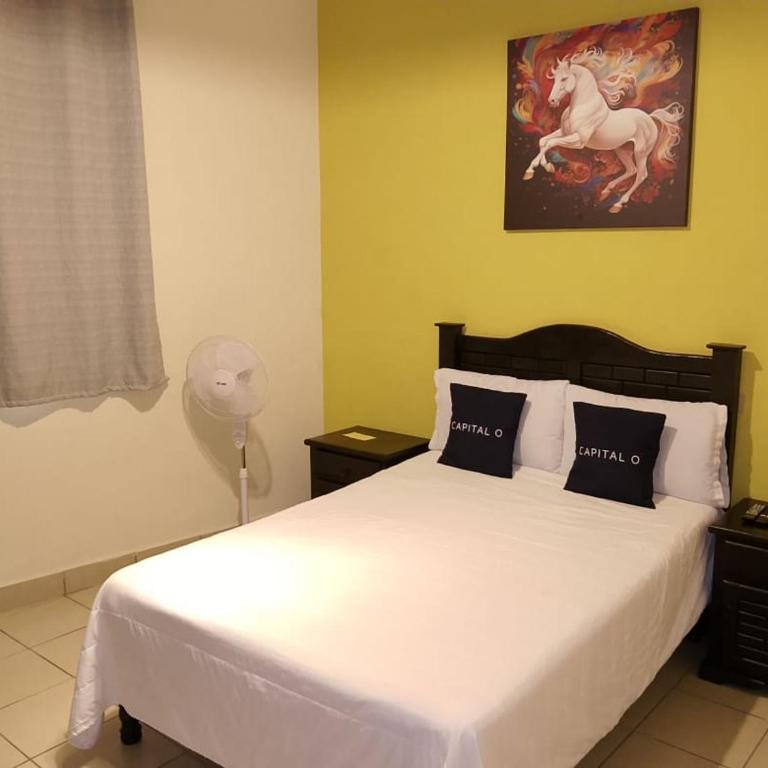 Hotel Terracota - Standard - 7