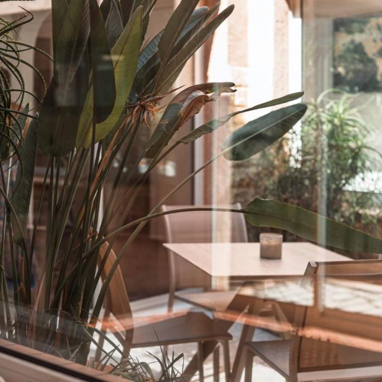 La Villa Rosa - Piscine - Spa - Clim - Parking - Villa 3 Chambres - 21