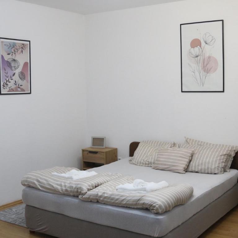Apartmani Zerina - Apartman sa 1 Spavaćom Sobom - 6