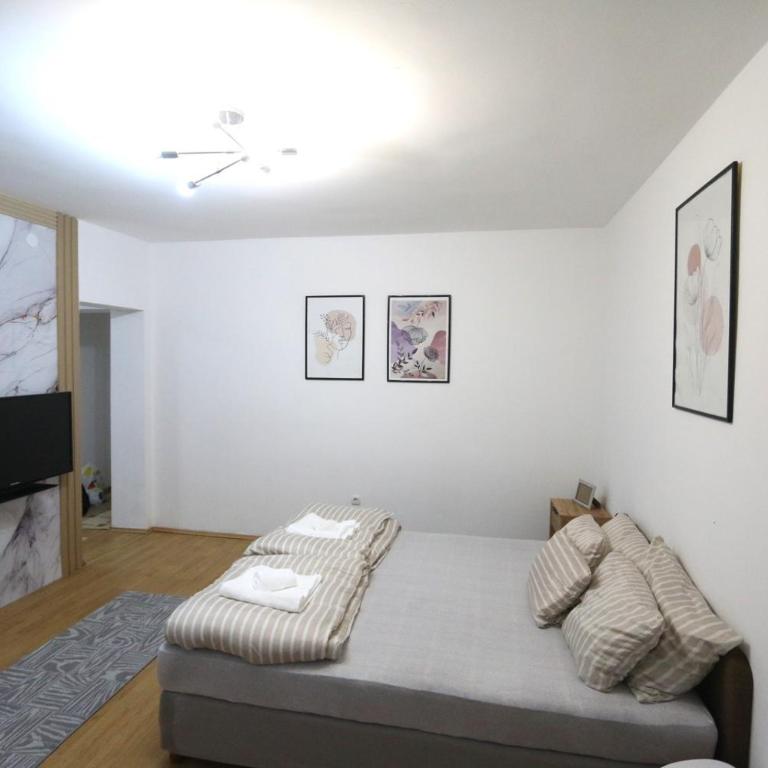 Apartmani Zerina - Apartman sa 1 Spavaćom Sobom - 5