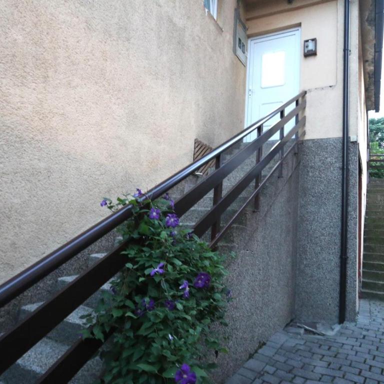 Apartmani Zerina - Apartman sa 1 Spavaćom Sobom - 18