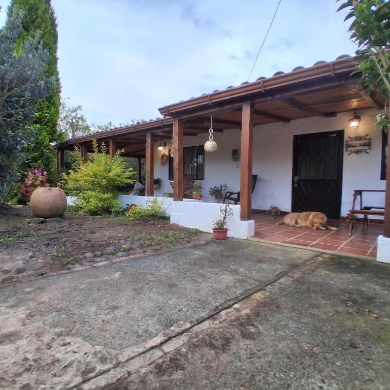 Fonte di vita - Three-Bedroom Villa - 1