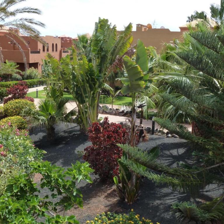 Residence Oasis Tamarindo - Vacation Home - 39