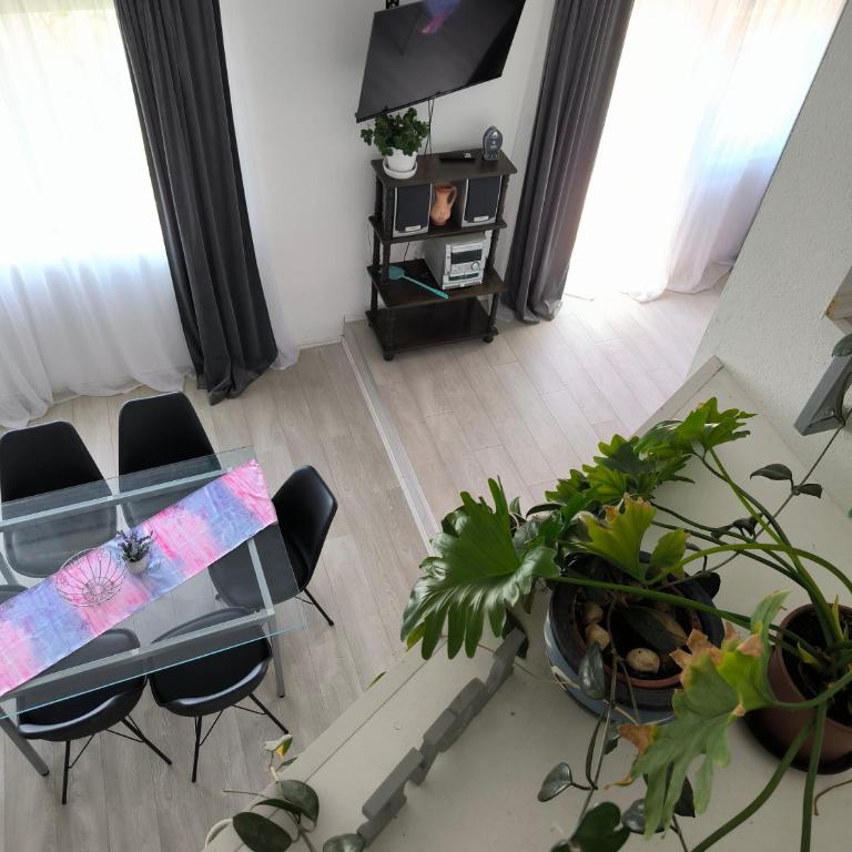 Apartments and Rooms Minex - Deluks Apartman - 10