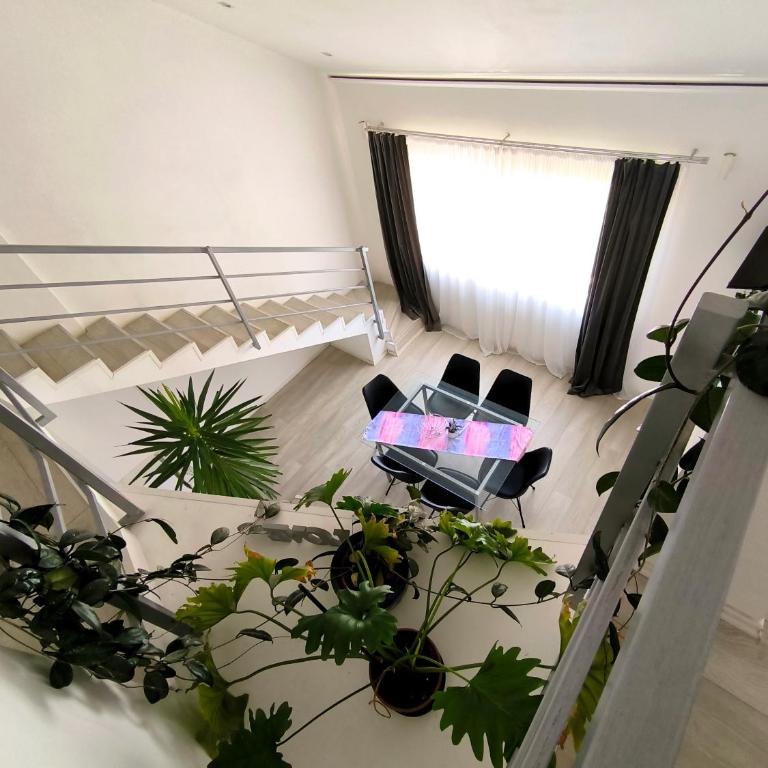 Apartments and Rooms Minex - Deluks Apartman - 22