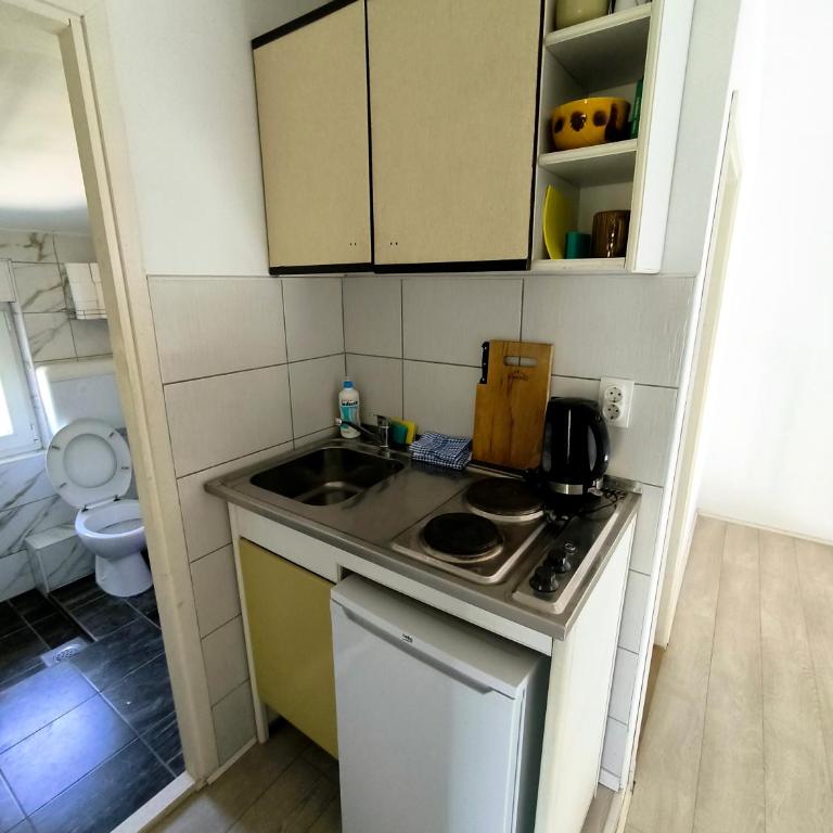 Apartments and Rooms Minex - Deluks Apartman - 17