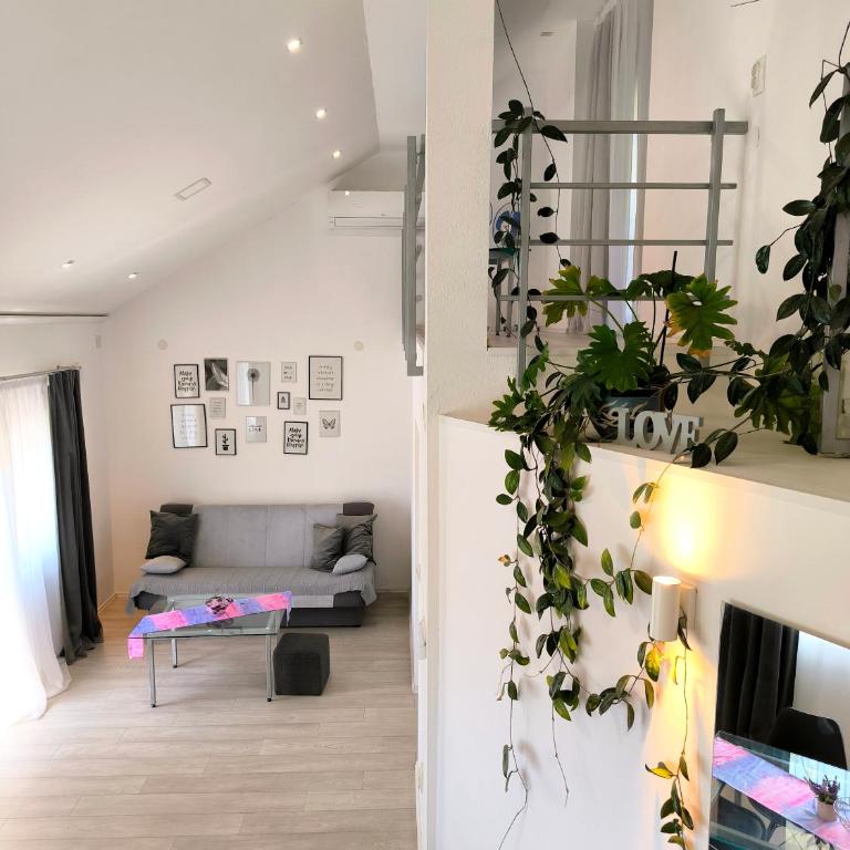 Apartments and Rooms Minex - Deluks Apartman - 18