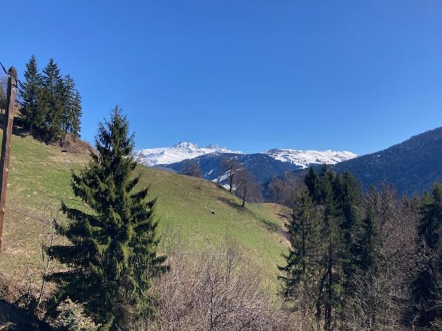 Le Moulin de Bisanne - Appartement 1 Chambre avec Vue - 13