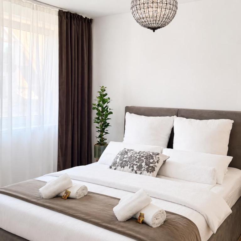Zentrum Apartments Prime Location - Near Metro 24h Self Check-in, 65 Smart TV - Appartamento con 1 Camera da Letto - 3