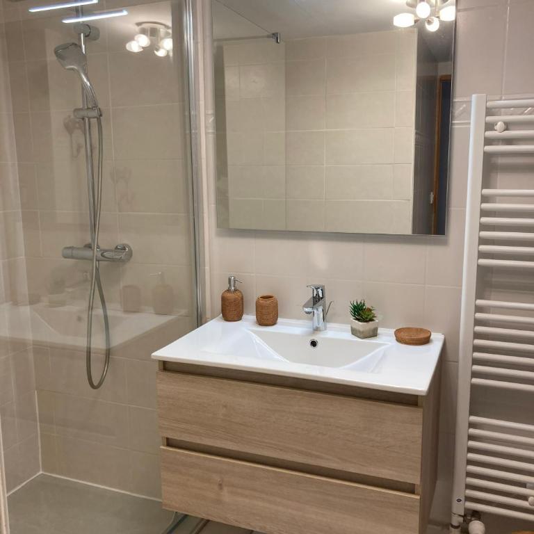 Le Moulin de Bisanne - Appartement 4 Chambres - 25