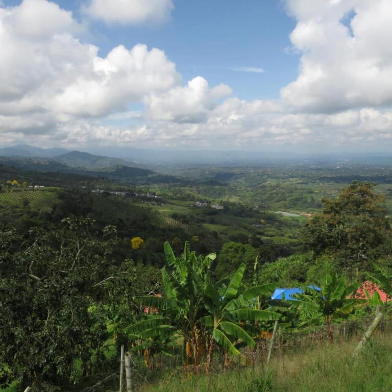 Andes Ecolodge - Chalet - 9