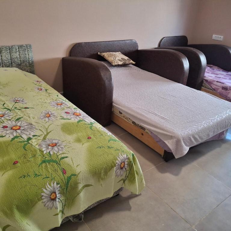 Vila Draga i Bora - Apartman sa 1 Spavaćom Sobom - 5
