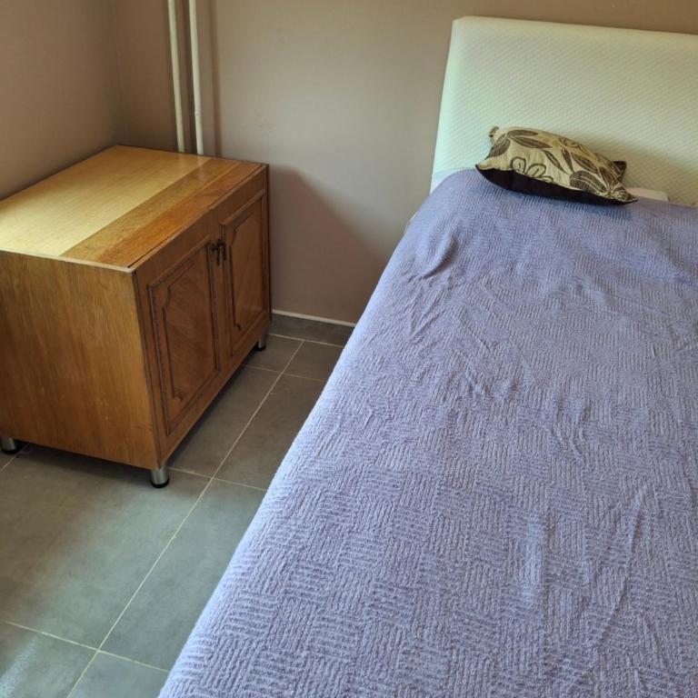 Vila Draga i Bora - Apartman sa 1 Spavaćom Sobom - 10
