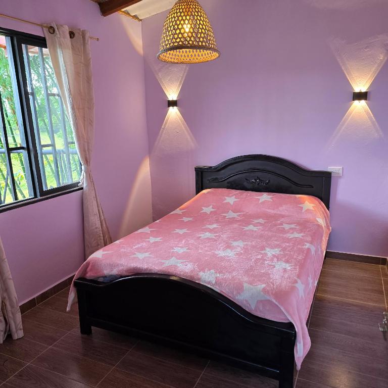 Finca La Preciosura - Casa Unifamiliar de 2 dormitorios - 4