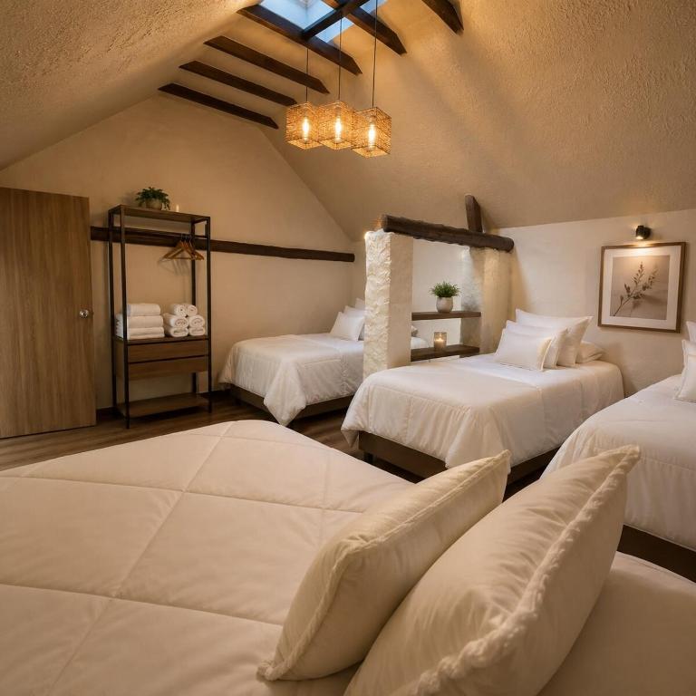 Casa Sua historic center, ideal for families and groups - Four-Bedroom House - 41