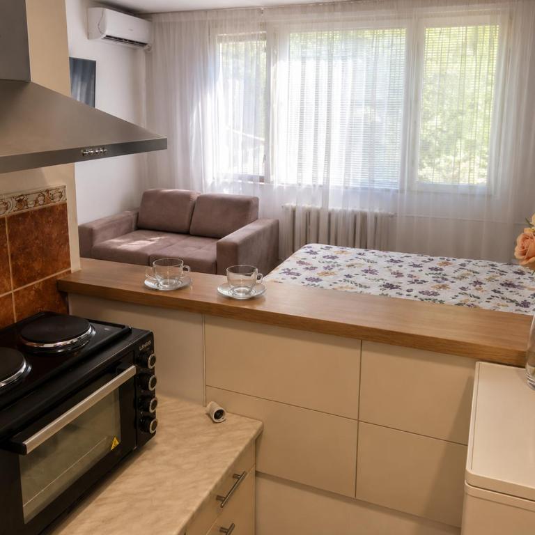 Apartman Novi Grad 4 - One-Bedroom Apartment - 5