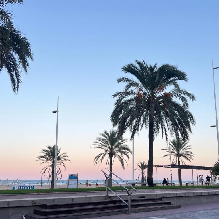 Benning Haus Gandia - Apartamento de 2 dormitorios - 5