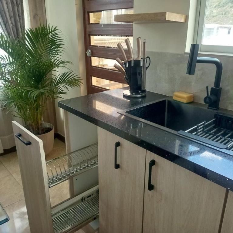Suite de lujo de 2 habitaciones con vista a las montañas en La Victoria Ibarra - Apartamento de 2 dormitorios - 30