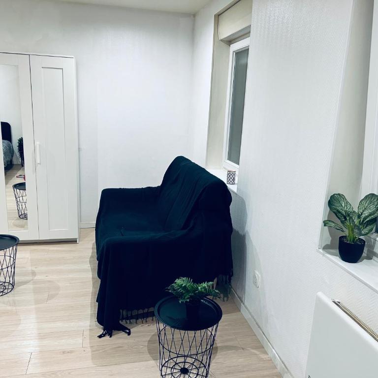 Le paisible à Strasbourg - Appartement 1 Chambre - 1