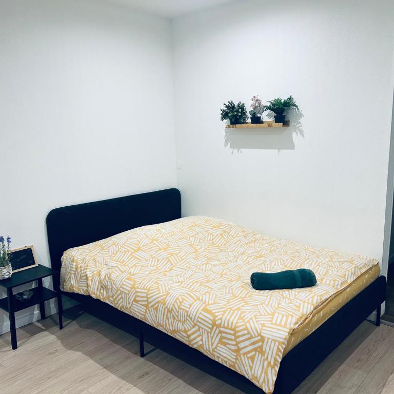 Le paisible à Strasbourg - Appartement 1 Chambre - 7