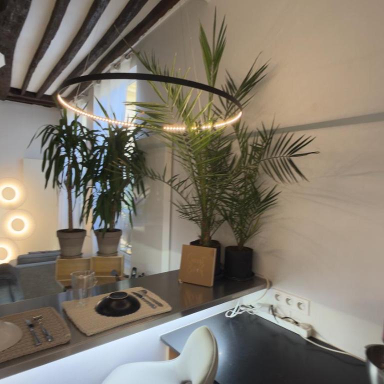 Fantastic heart of Marais Paris - One-Bedroom Apartment - 19