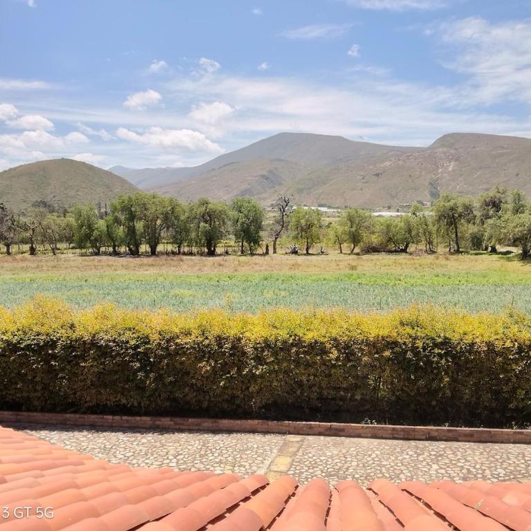 Country House - Villa Carmela - Villa - 12