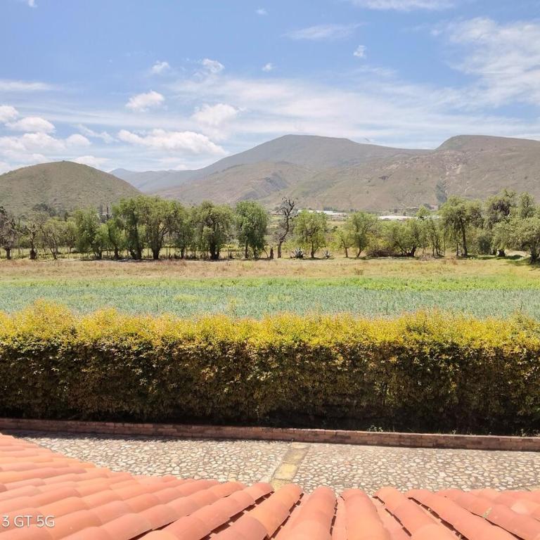 Country House - Villa Carmela - Villa - 16