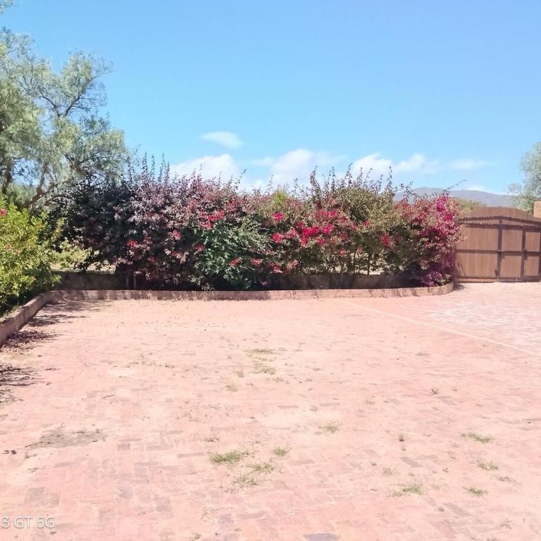 Country House - Villa Carmela - Villa - 20