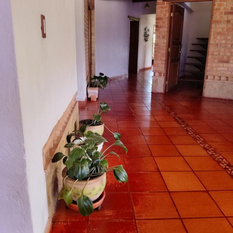Country House - Villa Carmela - Villa - 25