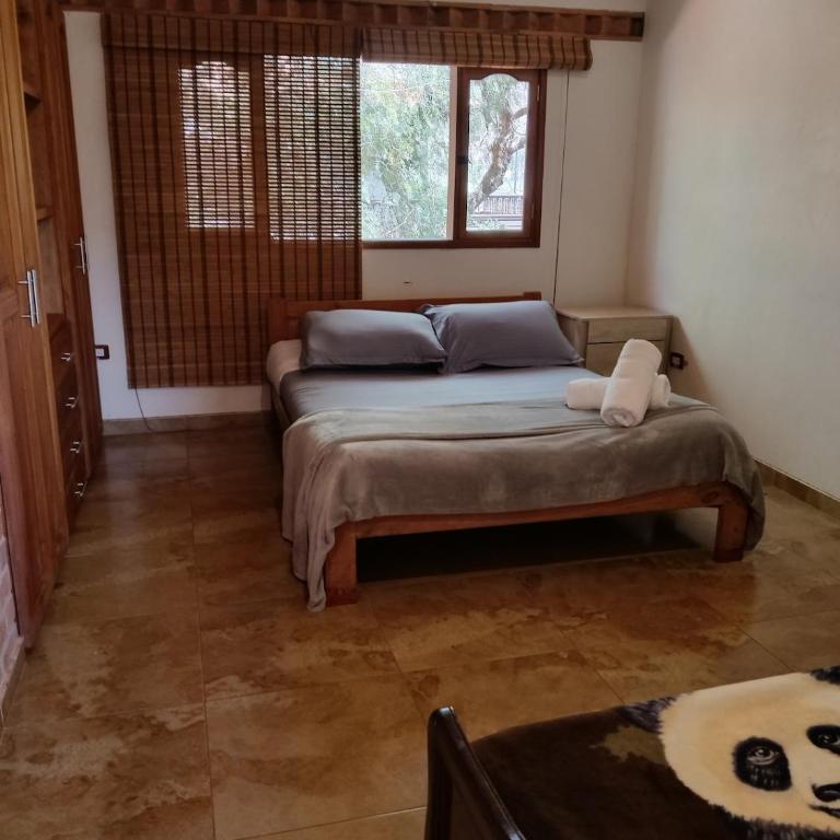 Country House - Villa Carmela - Villa - 33