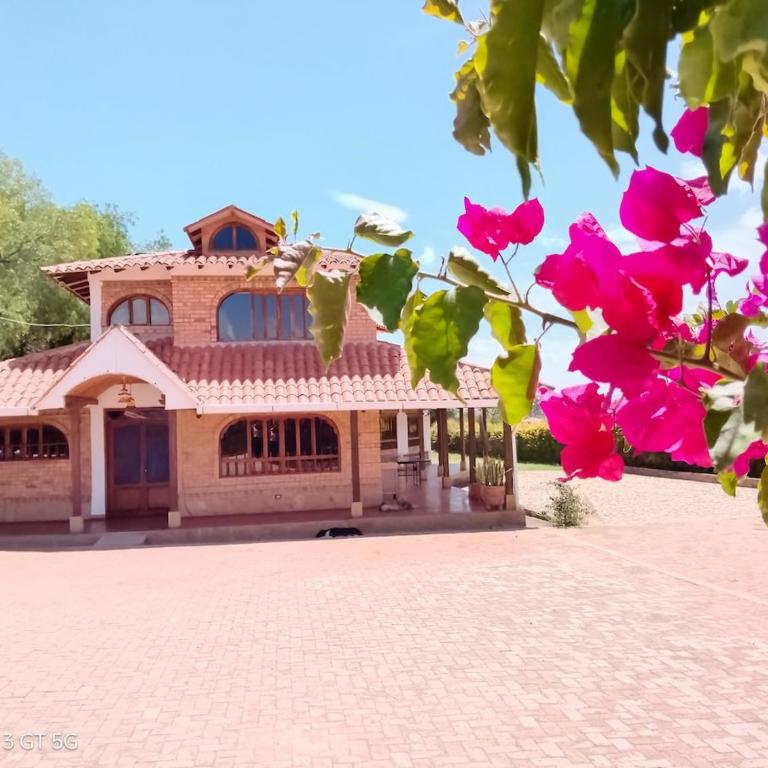 Country House - Villa Carmela - Villa - 52