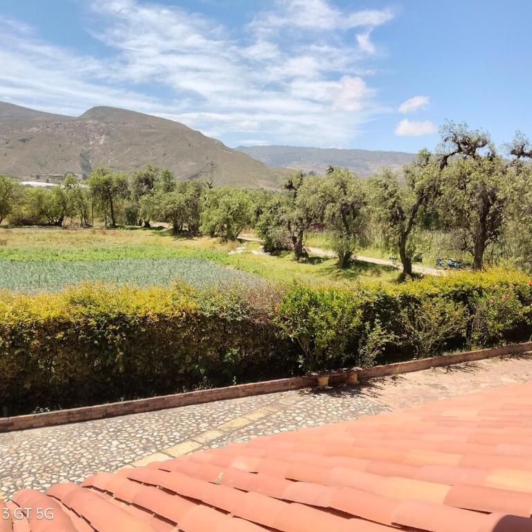 Country House - Villa Carmela - Villa - 57