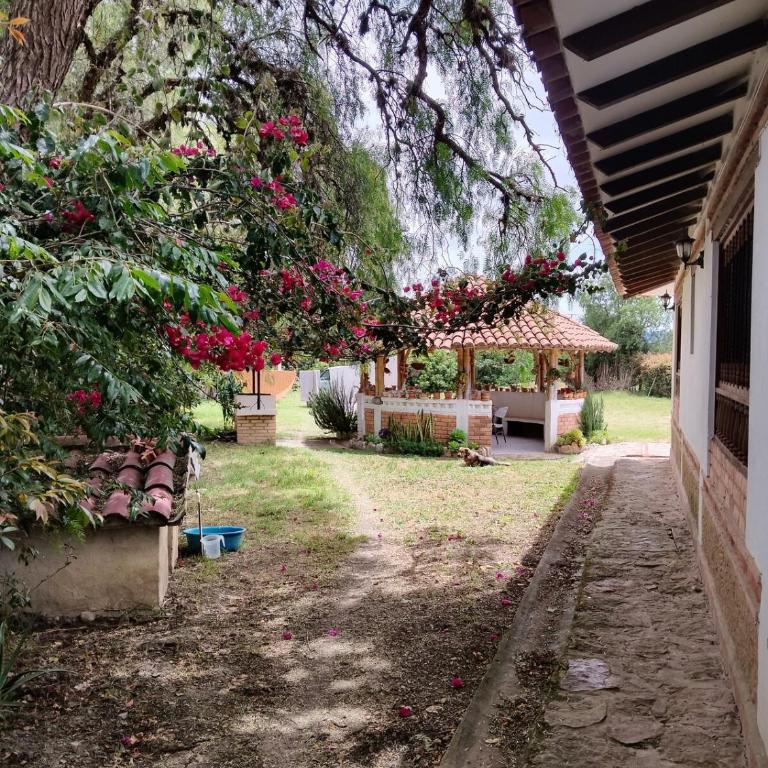 Country House - Villa Carmela - Villa - 60