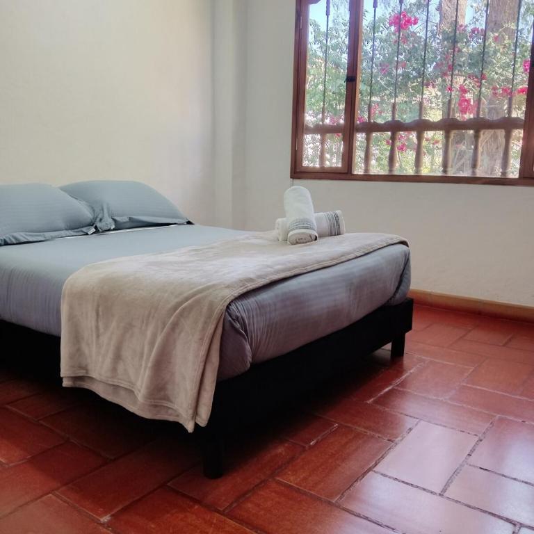 Country House - Villa Carmela - Villa - 68