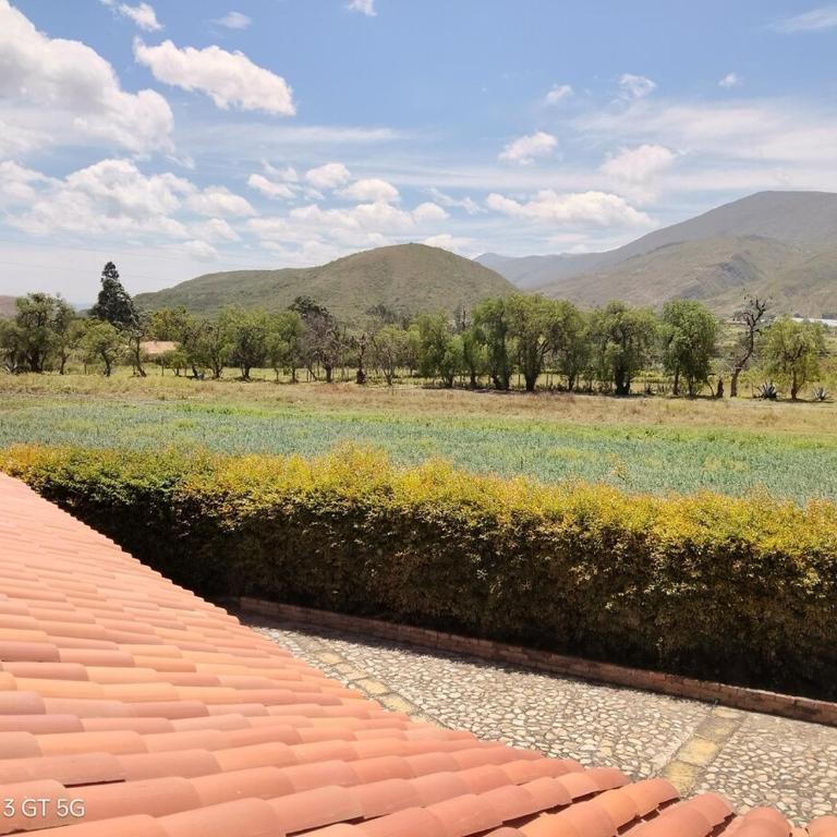 Country House - Villa Carmela - Villa - 98