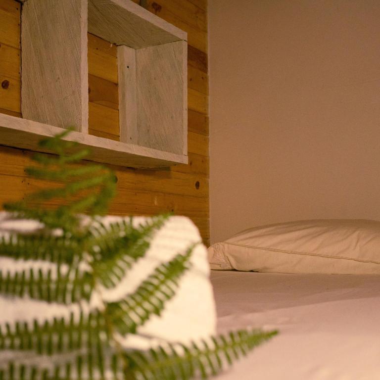 Must Go Centro de Bienestar - 4-Bed Mixed Dormitory Room - 4
