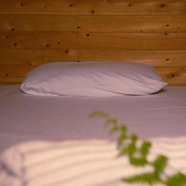 Must Go Centro de Bienestar - 4-Bed Mixed Dormitory Room - 12