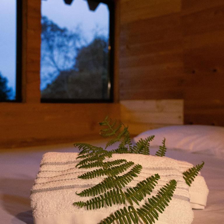 Must Go Centro de Bienestar - Double or Twin Room - 16
