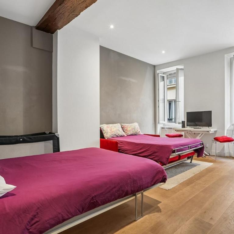 AIR CONDITIONER Spacious Studio in the heart of St Germain - Appartement 2 Chambres - 10