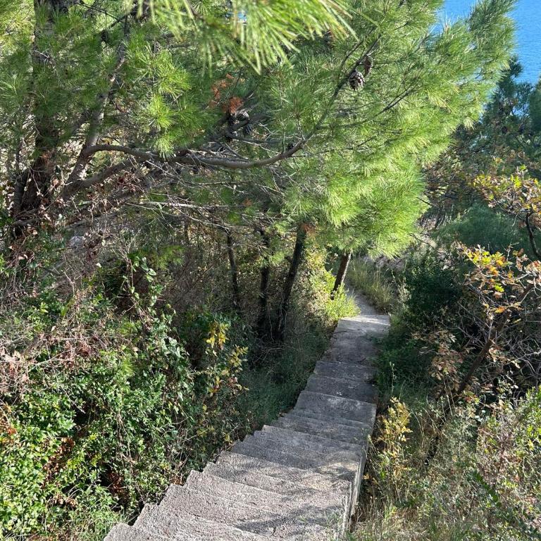 Cliff House - Kuća sa 4 Spavaće Sobe - 41