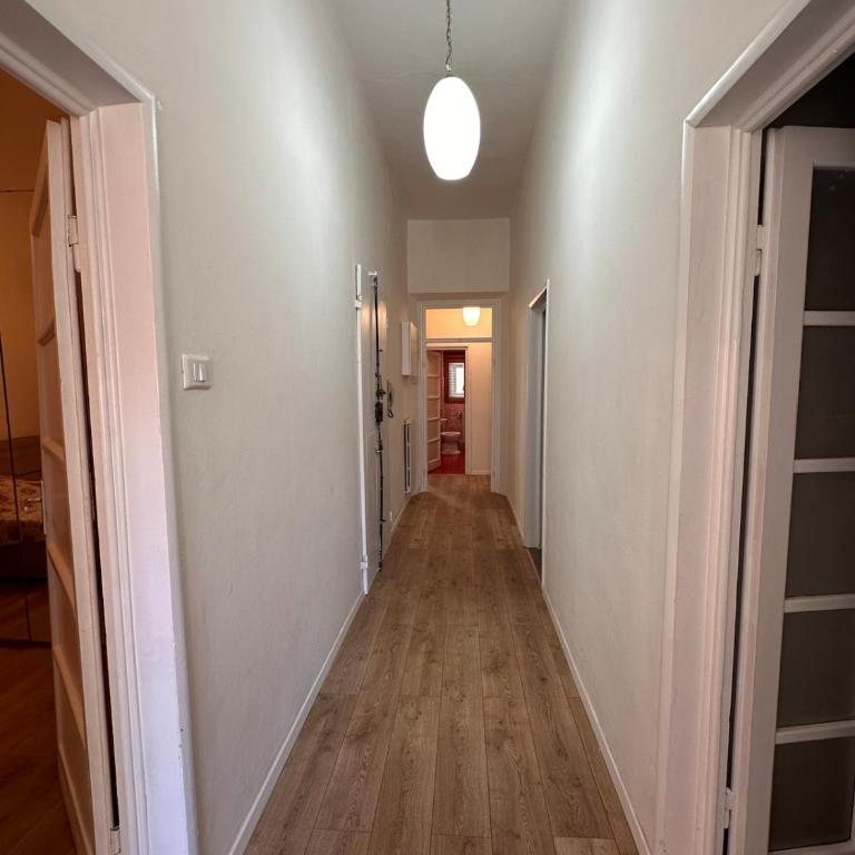 Casa ampia in Viale Belfiore, tram T1 T2, SMN station - Four-Bedroom House - 7