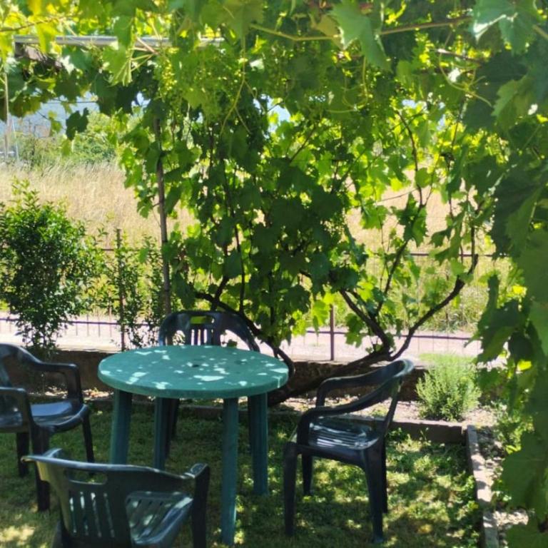 Nonna Evy - Apartamento de 1 dormitorio - 4