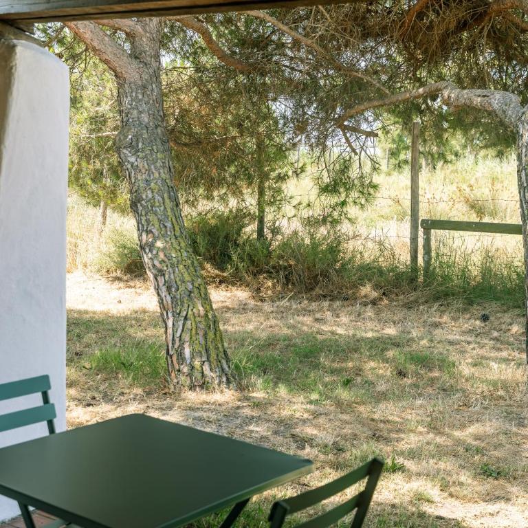 L'Oustau des Palunettes Concept Adult only - Chambre Double - 10