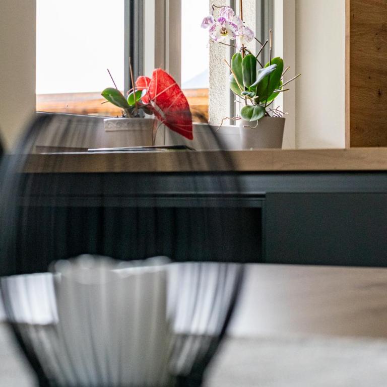 Appartement Bergblick Eben - Apartment mit 2 Schlafzimmern - 40
